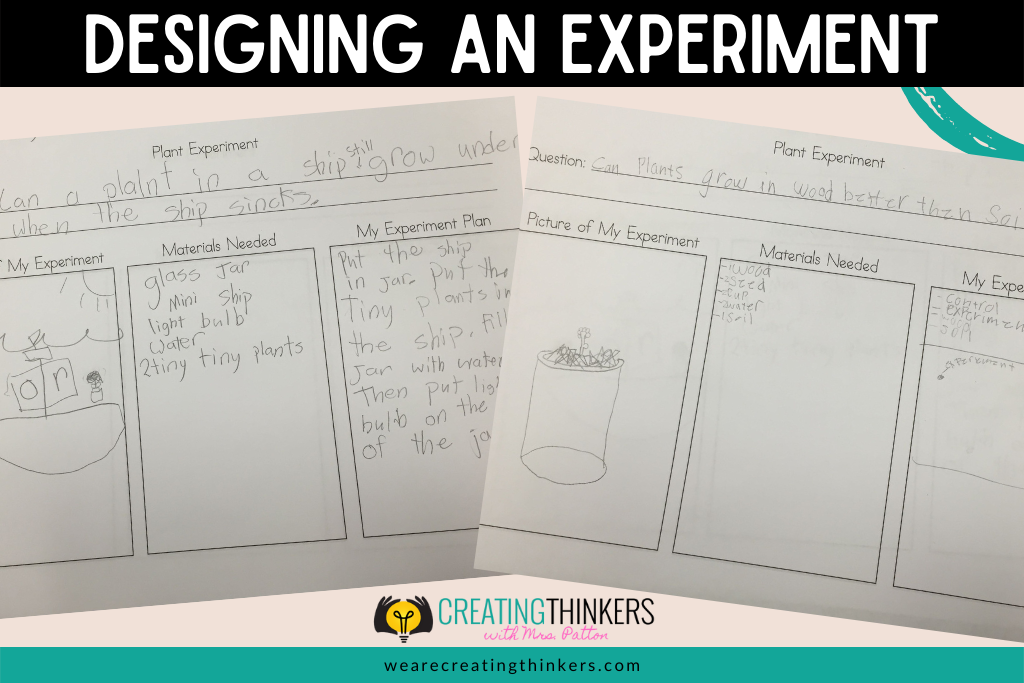 student examples of plant experiments they designed